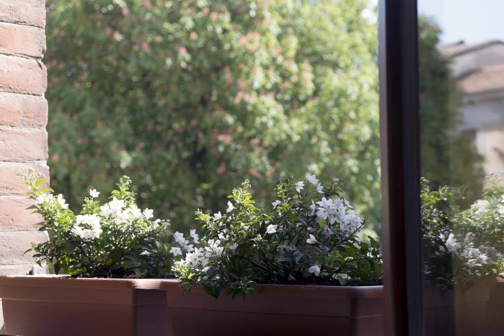 Zen Room Φεράρα Εξωτερικό φωτογραφία